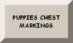photos of chest markings